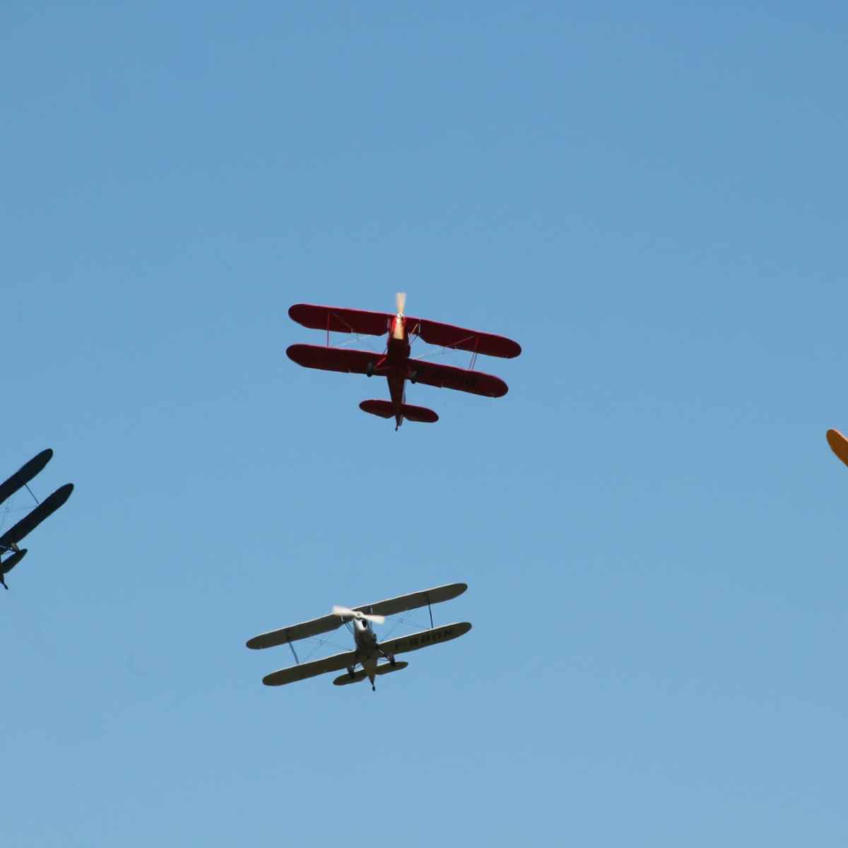 Събирача на очи