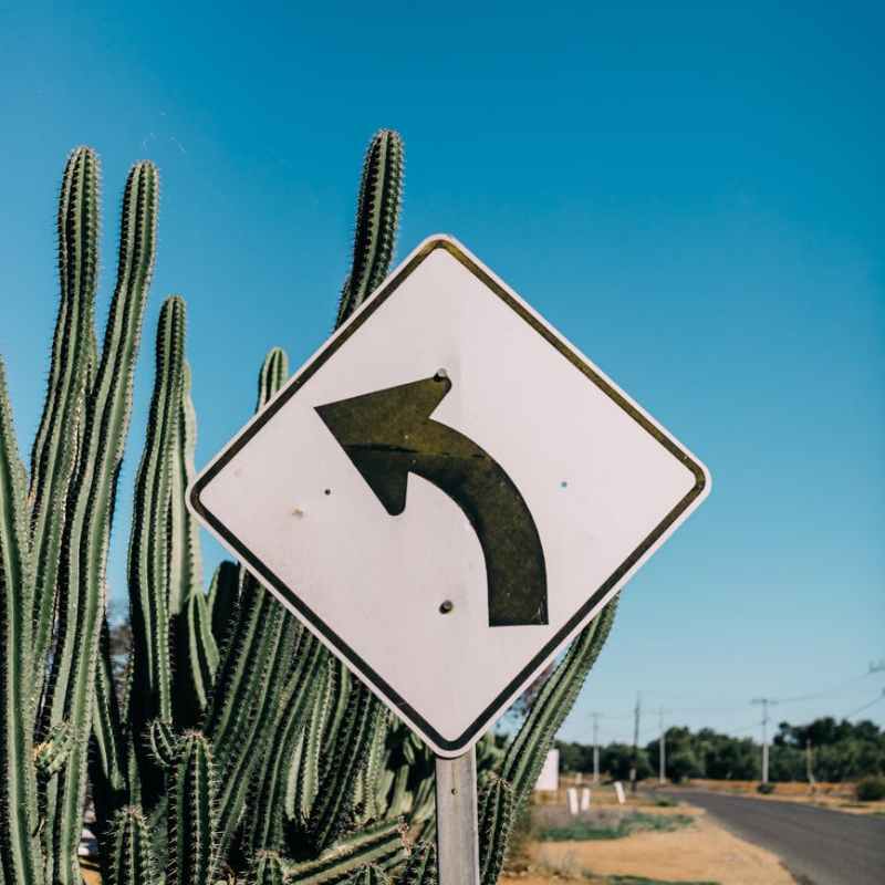 Чудовището в сърцето