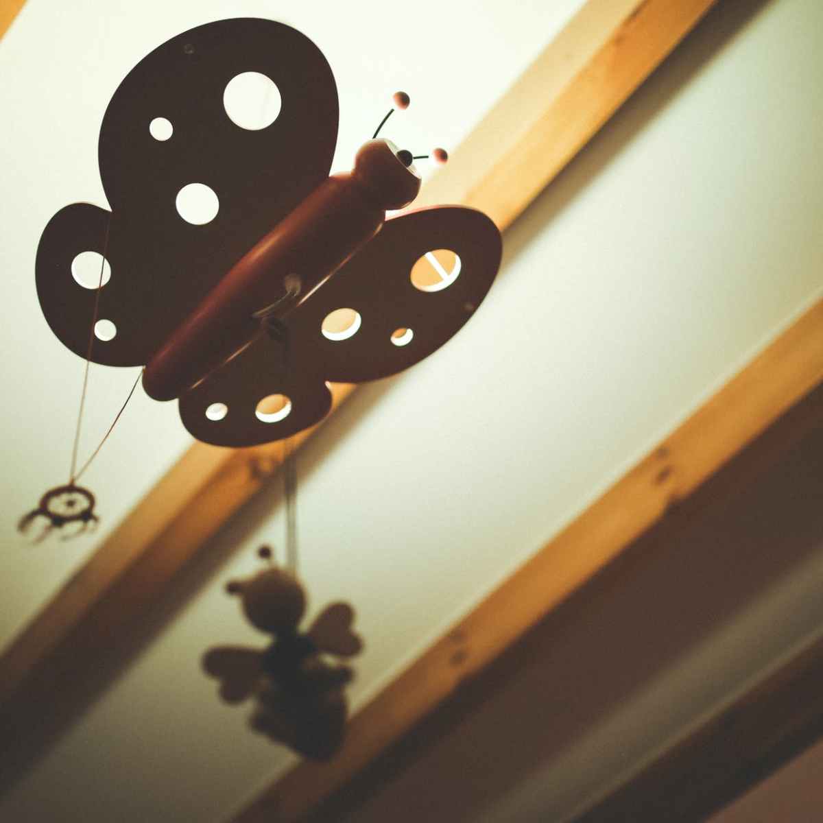 Муха в главата